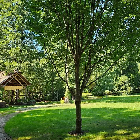 Romana Mazury Villa *