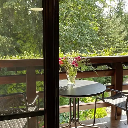 Вилла Romana Mazury Jeziorowskie