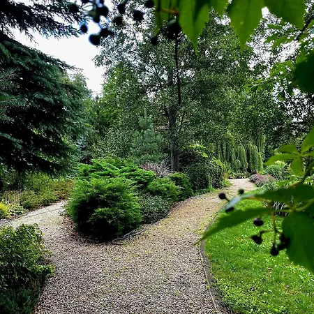 Romana Mazury *